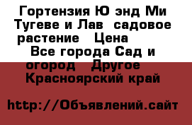 Гортензия Ю энд Ми Тугеве и Лав, садовое растение › Цена ­ 550 - Все города Сад и огород » Другое   . Красноярский край